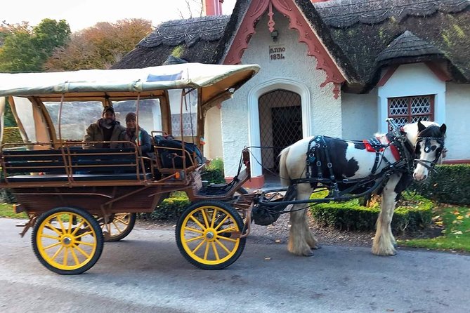 Killarney National Park Tour - Why a one-hour carriage ride works well in Killarney