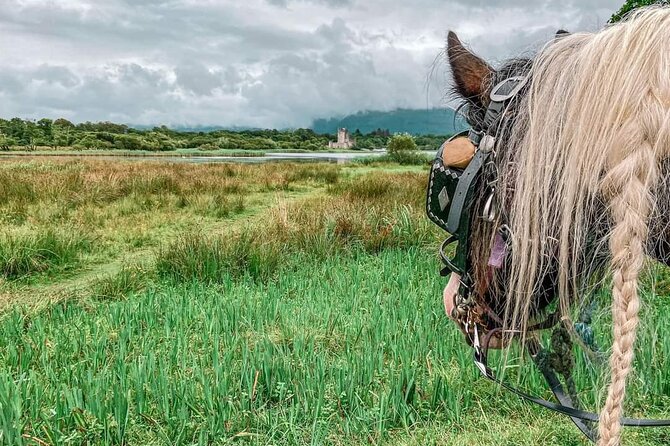 Killarney National Park Tour - The 6th-century monastery and the park’s past