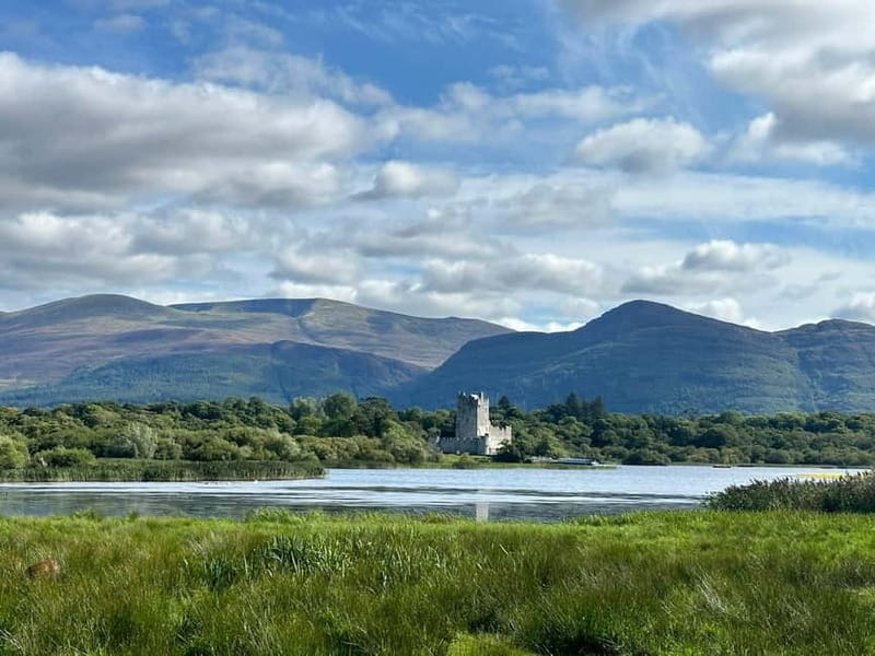 Killarney National Park Tour - Wildlife and the chance to spot native deer