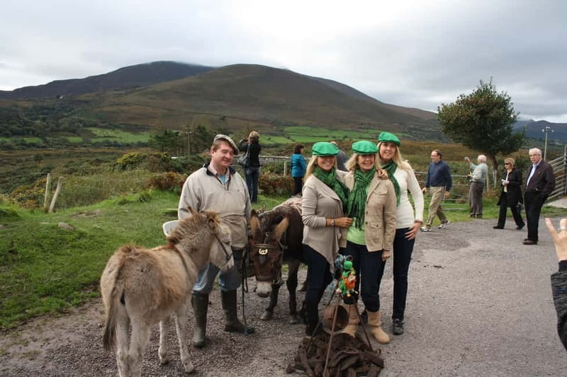 Killarney: Ring of Kerry Bus Tour - Why a bus is smart on the Ring of Kerry