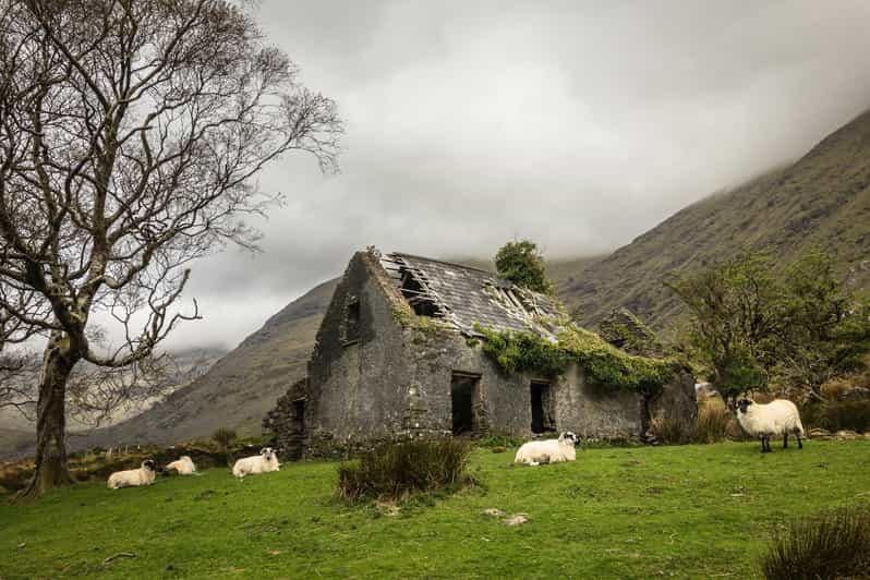 Killarney: The Ring of the Reeks - Backroads Rural Tour - Why this Killarney tour takes the back roads