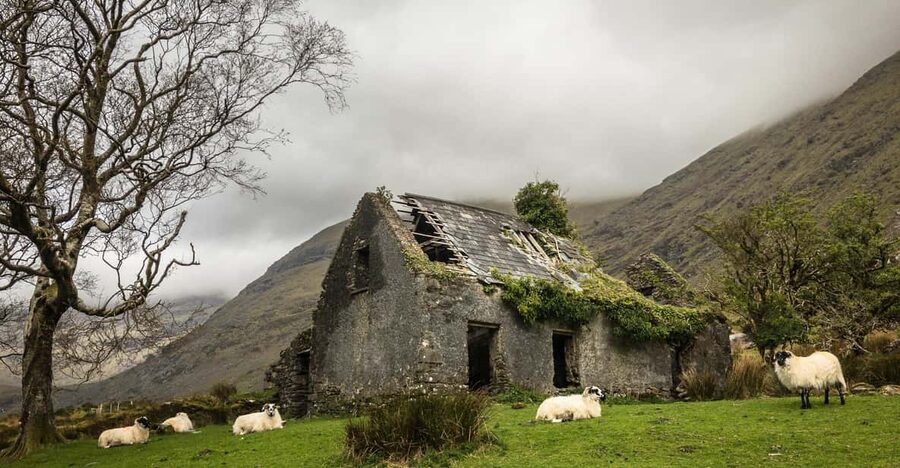 Killarney: The Ring of the Reeks - Backroads Rural Tour - Price, group size, and overall value