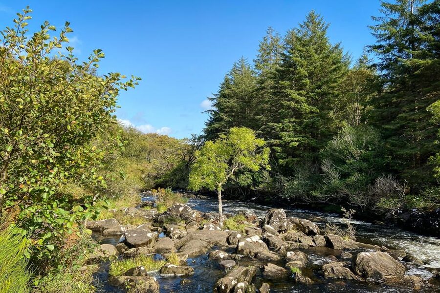 Killarney: The Ring of the Reeks - Backroads Rural Tour - Who will enjoy this day most