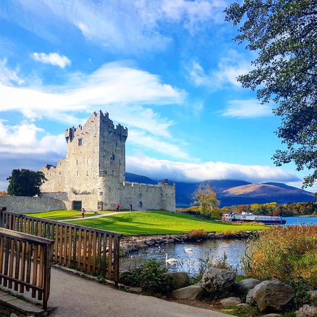 Lakes of Killarney: Boat Cruise - Families, Older Adults, and Mixed Groups