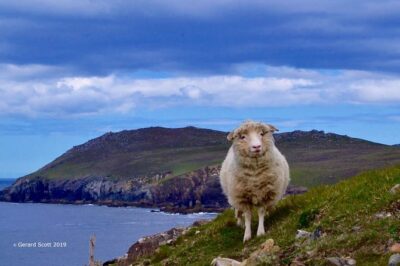 Luxury ‘Luck of the Irish’ Tour – 4 Day Tour