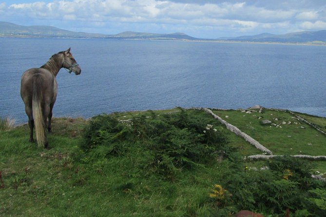Luxury Photography Day Tour on Ring of Kerry and Skellig Ring - Fully Guided and Chauffeured - Who will get the most from this tour