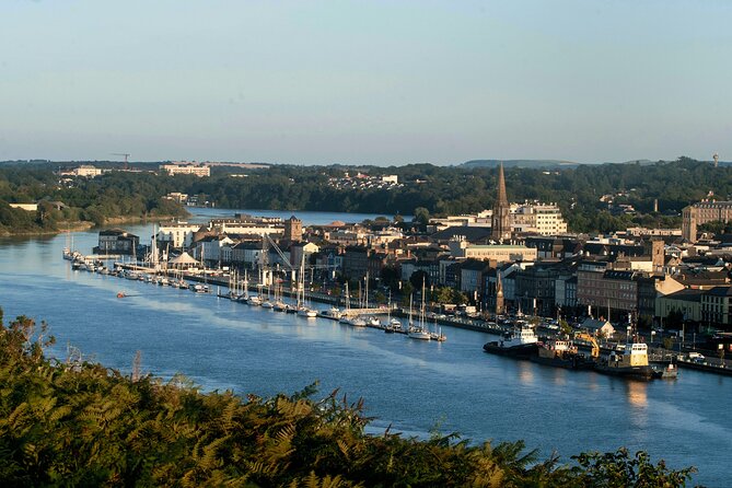 Osprey Viking Cruises - Little Island, monks, Vikings, and the Kildares