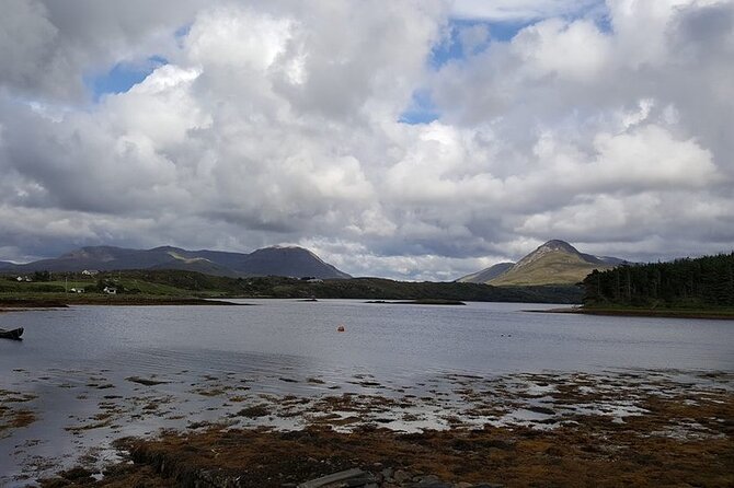 Oyster Farm and Tasting Experience - Key things to know before you book