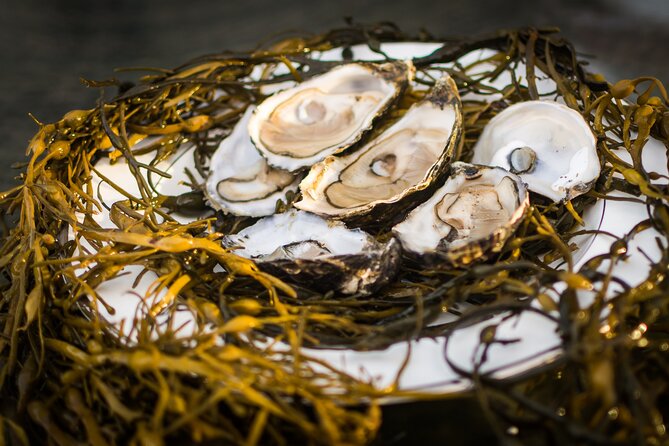 Oyster Farm and Tasting Experience - Who will enjoy this visit most?