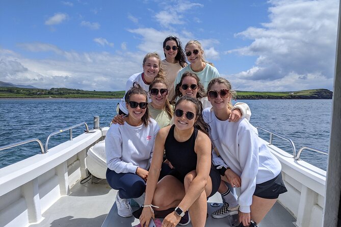 Private 1-Hour Guided Boat Tour in Dingle Peninsula - Cliffs, sea stacks, and views from the bay