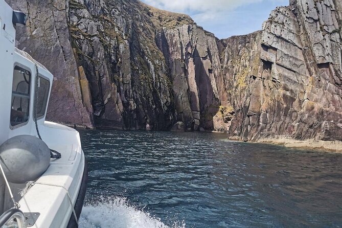 Private 1-Hour Guided Boat Tour in Dingle Peninsula - A good choice for families and mixed groups