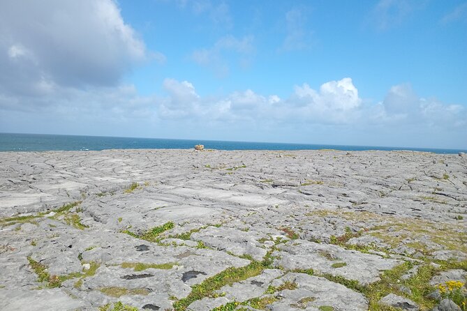 Private Day Tour Cliffs of Moher from Dublin - William’s role makes the difference