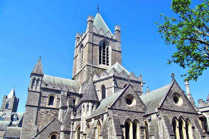 Private Dublin Sights and Pints (Walking Tour) - Dublin Castle and the city’s political past