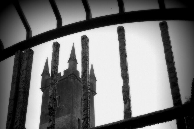 Private Ennis Dark History Tour with Dr Jane O'Brien (1-6 people) - Gallows Green and the old punishments