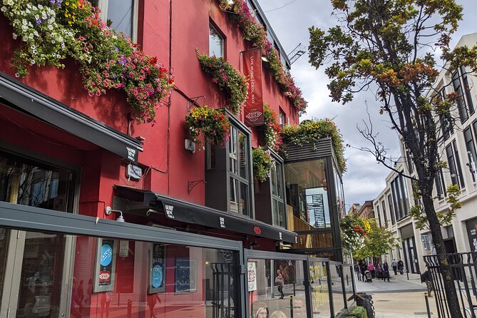 Private Guided Tour of Dublin in French - Dublin Castle and the city’s older layers