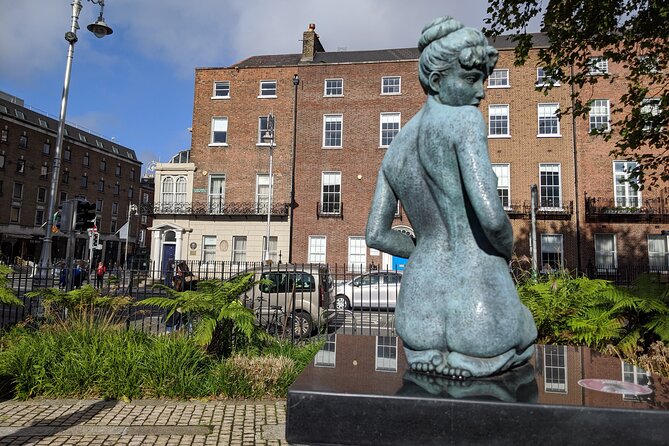 Private Guided Tour of Dublin in French - Merrion Square and Georgian Dublin