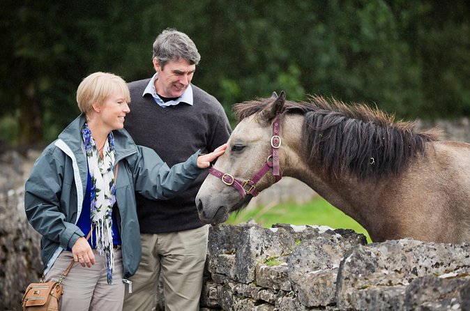 Private Half Day Tour To Connemara - The guide can shape the whole day