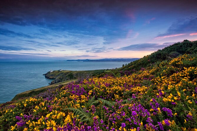 Private Howth Coastal Walk - Howth Market and the old abbey