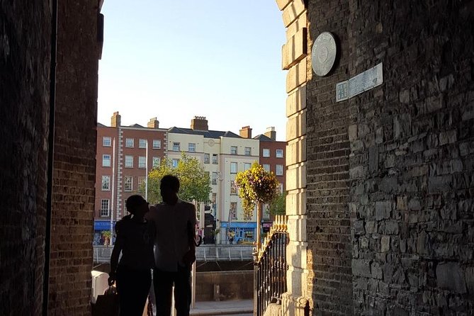 Private (Nearly!) All of Dublin in 5 hours (Walking Tour) - St. Stephen’s Green and Grafton Street