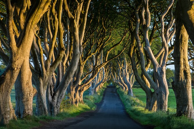 Private Northern Ireland Day Tour from Dublin - Dunluce Castle: one hour above the sea