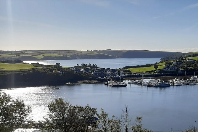 Private Tour: Classic Cork Tour visiting Blarney Castle & Kinsale - The guide makes the value work