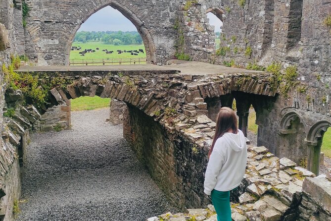 Private Tour from Dublin: Hill of Tara Trim Castle, Celtic sites - Trim Castle: Norman power in stone