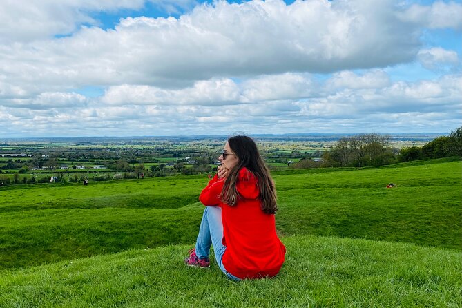 Private Tour from Dublin: Hill of Tara Trim Castle, Celtic sites - Who will get the most from this tour