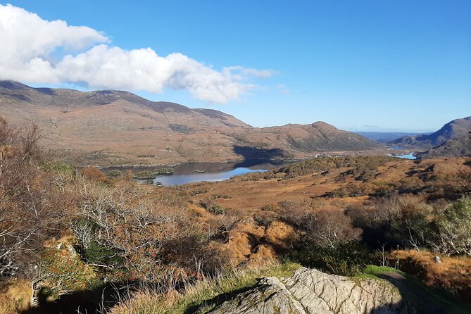 Private tour of, Blarney Castle, Cork City and Kinsale - Kinsale for a slower coastal stop