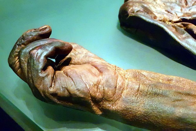 Private Tour of Dublin Museums (Walking Tour) - What the private format means for your group