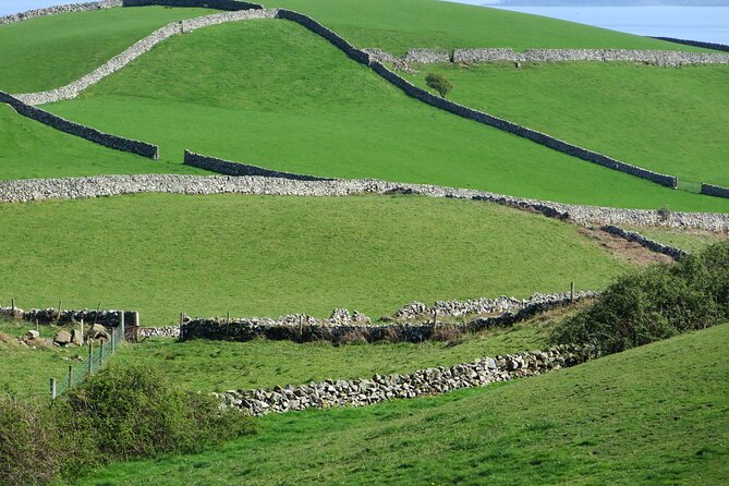 Private Tour of Newgrange and The Hill of Tara - Timing and ticket planning can make or break the day