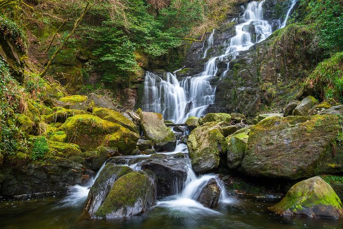 Private Tour:Ring of Kerry,Kerry Cliffs, starting in (from) Killarney - Ballycarbery Castle and Cahergall Fort add real age