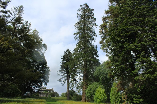 Private Wicklow Mountains Day Tour - Glendalough, the sixth-century monastic valley