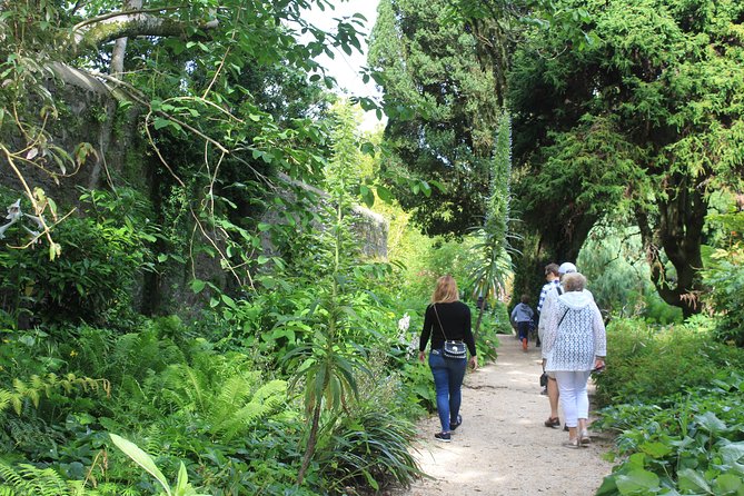 Private Wicklow Mountains Day Tour - Kilmacurragh and the return through the park