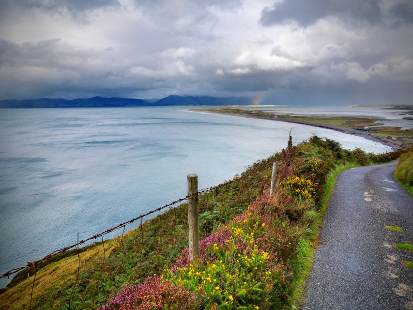 Rail Tour from Dublin: The Ring of Kerry - Starting at Dublin Heuston before sunrise