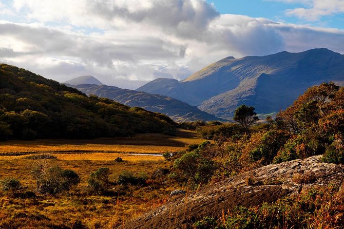 Ring of Kerry Day Tour from Cork: Including Killarney National Park - Why this day trip works from Cork