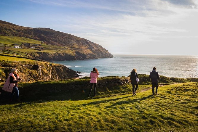 Ring of Kerry Day Tour from Cork: Including Killarney National Park - Killorglin and the story of Puck Fair