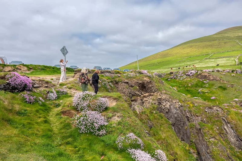 Ring of Kerry & Kerry Cliffs: Private Tour from Killarney - Waterville and the coastal road