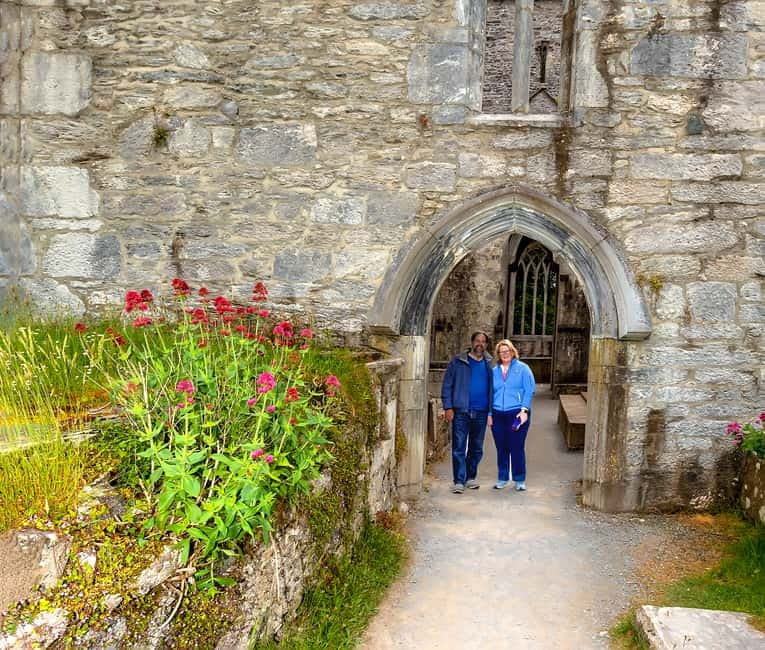 Ring of Kerry & Kerry Cliffs: Private Tour from Killarney - Sneem, Molls Gap, and Ladies View