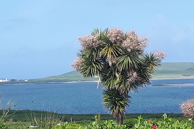 Ring of Kerry Private Tour - Key Points at a Glance