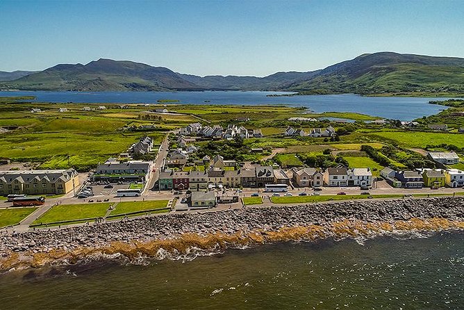 Ring Of Kerry Tour - A sheepdog demonstration with a local skill