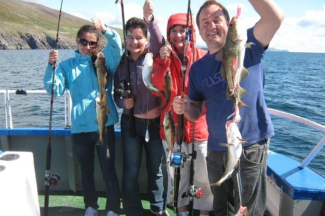 Sea Fishing 2 hour - Setting out from Dingle Marina at 3 p.m.