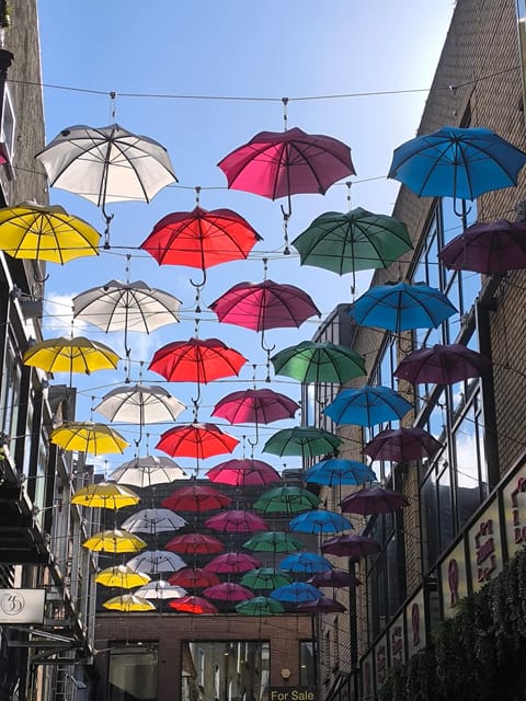 Secret and unusual Dublin: guided walking tour - Why this Dublin walk feels different