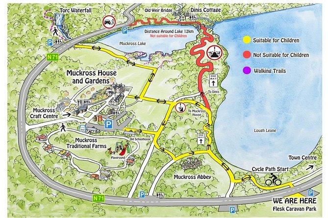 Self-Guided Bike Tour of Killarney National Park, Muckross Gardens & Waterfall - Why a bike works so well in Killarney National Park