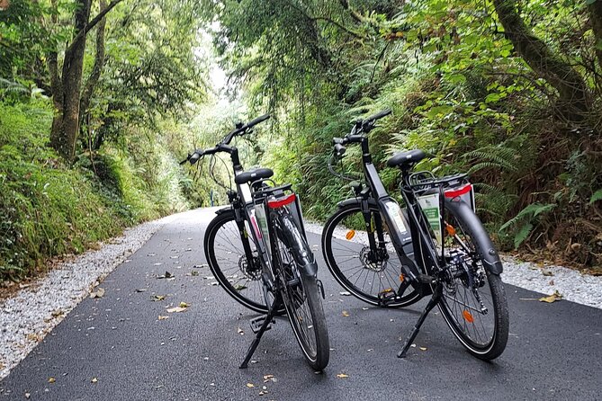 Self Guided Bike Tour on the Limerick Greenway - Family Use and Fitness Levels