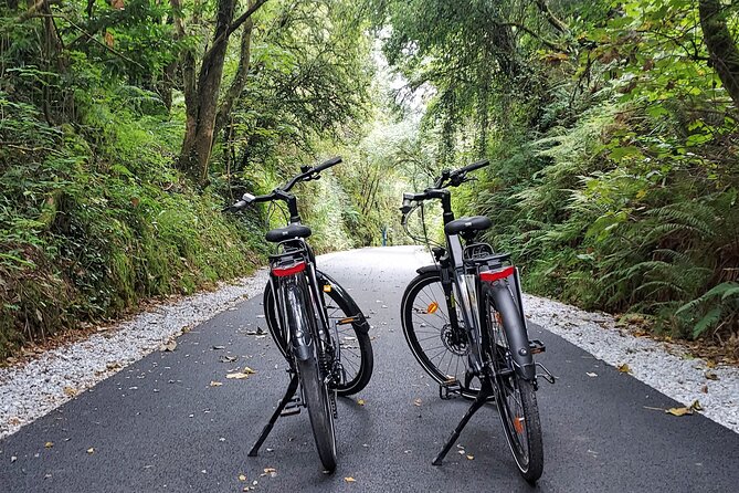 Self Guided Bike Tour on the Tralee to Fenit Greenway - Choosing the right bike for your group