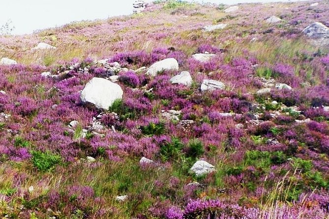 Self Guided Electric Bike Tour of Historical Sites in the Burren Co Clare - Poulnabrone Dolmen, a free prehistoric stop