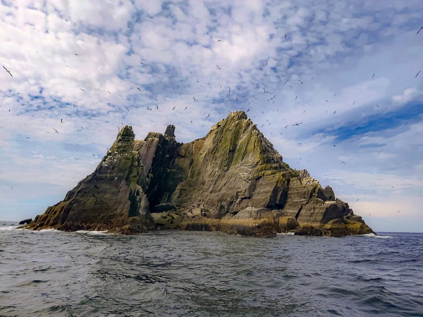 Skellig Michael: Skellig Sightseeing Cruise with AquaTerra - Key points to know before booking