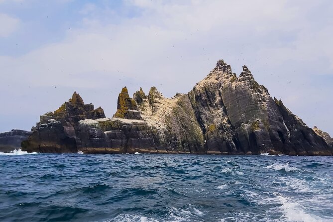 Skellig Michael : Ultimate Skellig Coast Tour with AquaTerra - Seeing Skellig Michael without landing