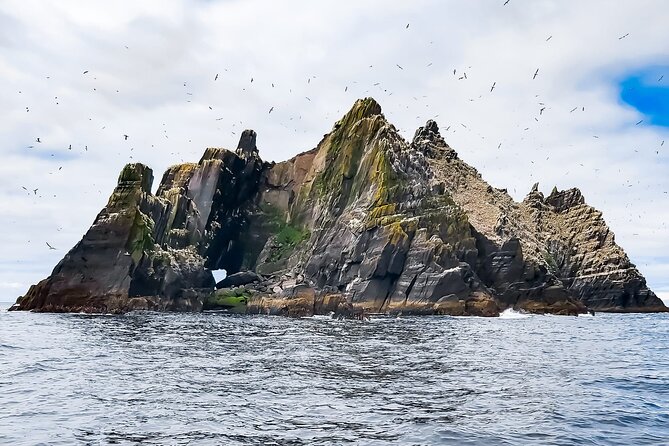 Skellig Michael : Ultimate Skellig Coast Tour with AquaTerra - Small Skellig, birds, and open Atlantic water