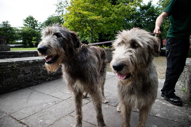 Skip the Line: Bunratty Castle and Folk Park Admission Ticket - Who will get the most from this ticket